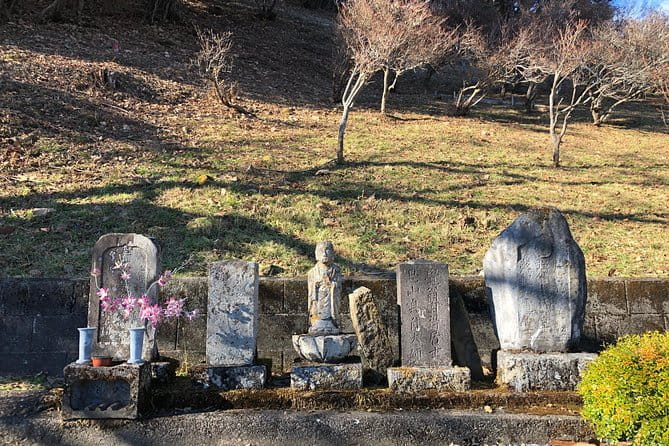 One Day Tour of Tokyos Plentiful Nature in Hinohara Village - Health and Accessibility