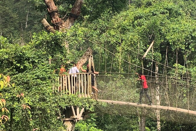 One Day Tour To Cape Coast, Elmina Castle, Kakum National Park - Elmina Fish Market