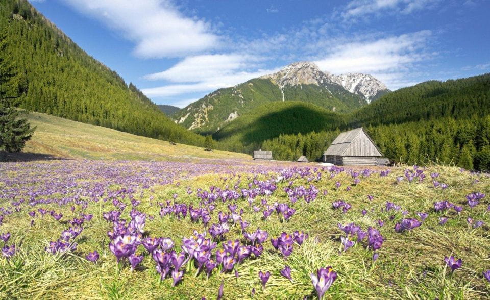 One Day Tour to Zakopane Tatra Mountains From Krakow - Itinerary Highlights