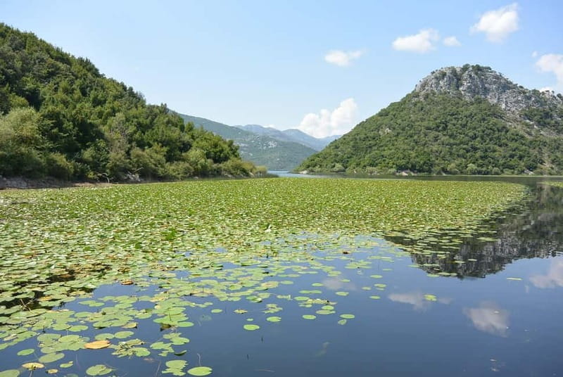 One day trip to Skadar Lake from Tivat - The Journey Begins: From Tivat to the Majestic Skadar Lake