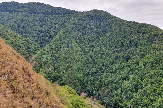 One-Day Vlad the Impaler Royal Court Private Tour from Bucharest - Final Thoughts