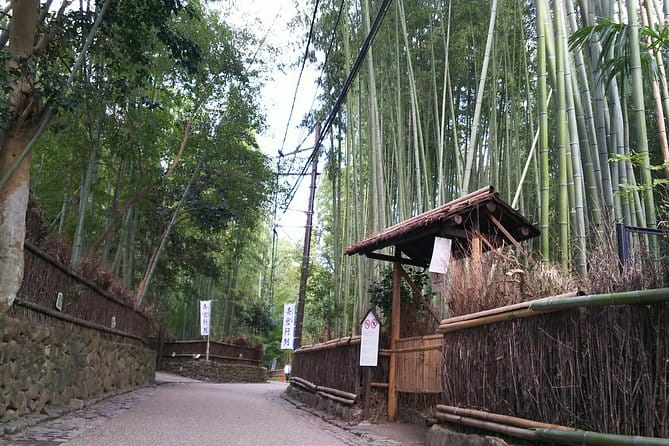 One-Day Walking Tour : Enjoy Kyoto to the Fullest! - Preparing for the Tour