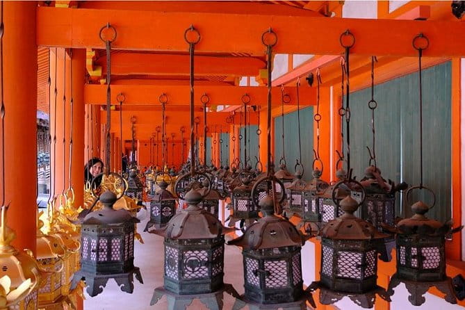 One-Day Walking Tour of Amazing 8th Century Capital Nara - Personalized Tour Experiences With Local Guides