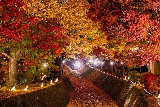 One Way Bus From Kawaguchiko to Hirayu - Highlights of the Route