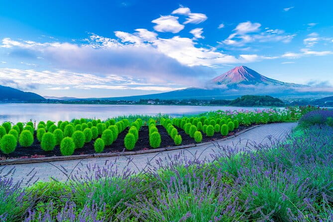 One Way Bus Takayama to Kawaguchiko via Mt Fuji 5th Station - Booking and Cancellation Policies