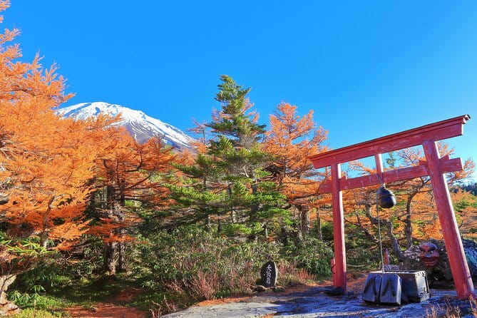 One Way Bus Takayama to Tokyo via Mt. Fuji 5th Station - Itinerary Changes and Additional Information