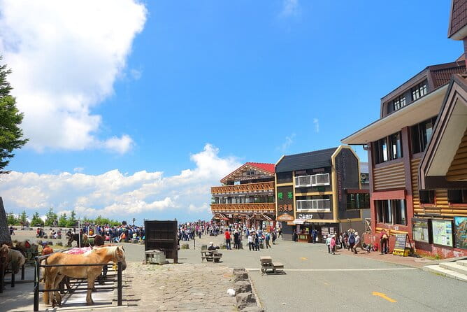 One Way Bus Tokyo to Kawaguchiko via Mt. Fuji 5th Station - Additional Tips for Travelers