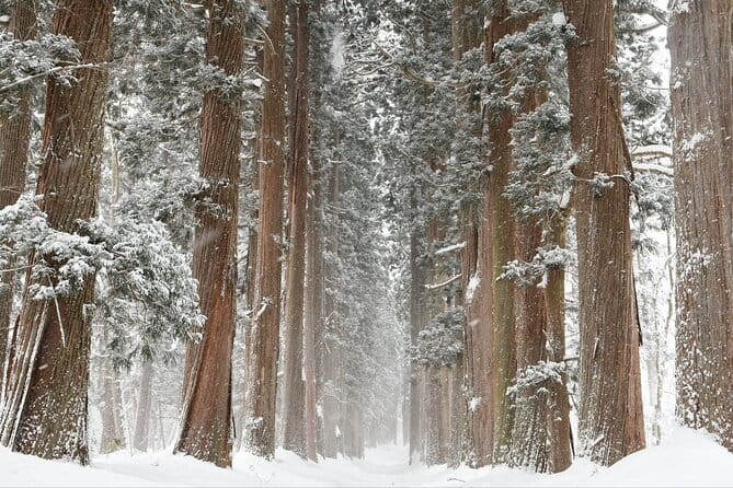 One Way Private Shuttle to Nagano Ski Centers - Pricing