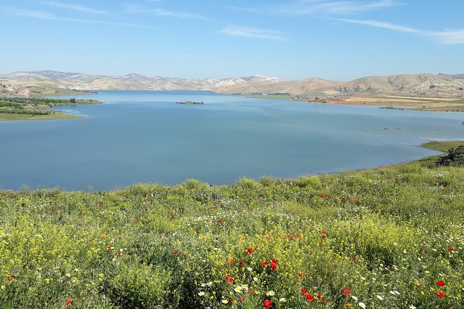 One Way Transfer From Fes to Chefchaouen With Options - Vehicle and Amenities