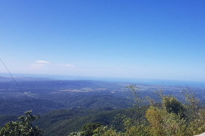 Oneway Transfer San Juan to Ceiba: Ferry, Vieques/Culebra Airport - Accessibility and Pet Policy