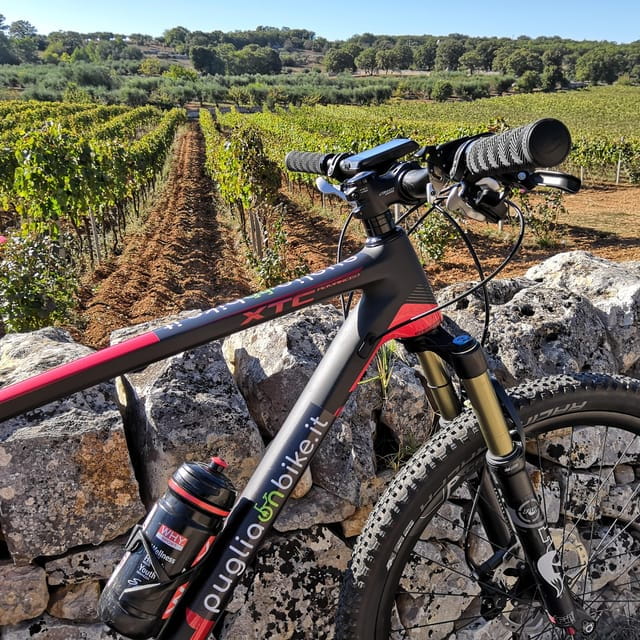 Open guided bike tour in Locorotondo and Alberobello - Discovering the Apulian Countryside by E-Bike