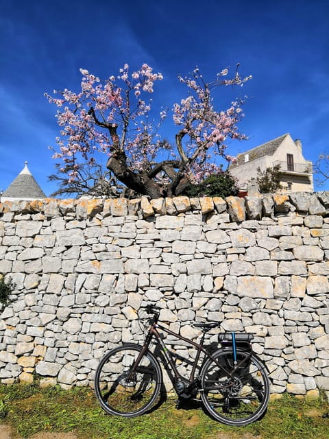 Open guided bike tour in Locorotondo and Alberobello - FAQ