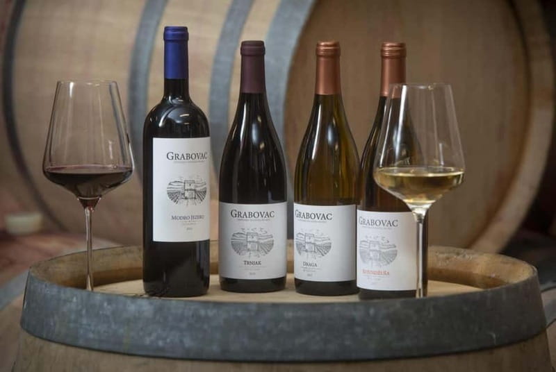 Open Panoramic Bus Tour +Guided Walking Tour in 10 languages - Key Points / Takeaways