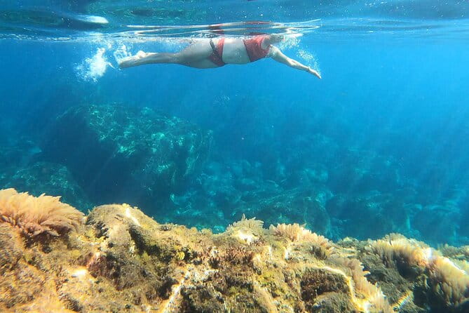 Open-Water Swimming in Madeira - Who Should Book This Experience?