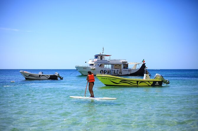 Ophelia Catamaran Cruises + Beach BBQ - Sights Along the Coast