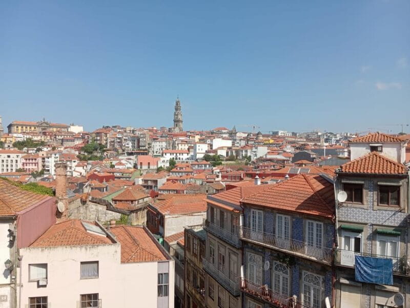 Oporto - Old town tour with official tour guide - Who Will Love This Tour?