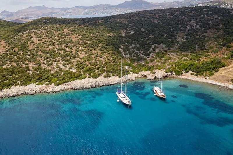 Orak island Boat Trip Bodrum - Final Thoughts: Is This Trip for You?