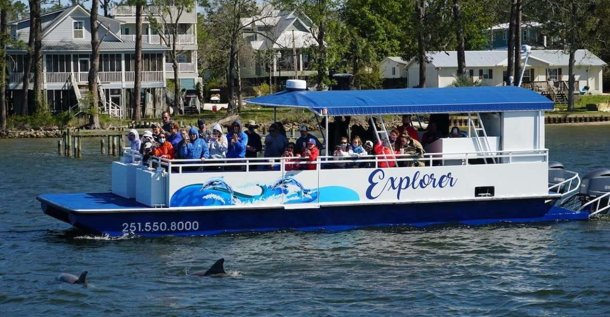 Orange Beach: Dolphin-Watching Eco-Boat Tour - Experience Highlights