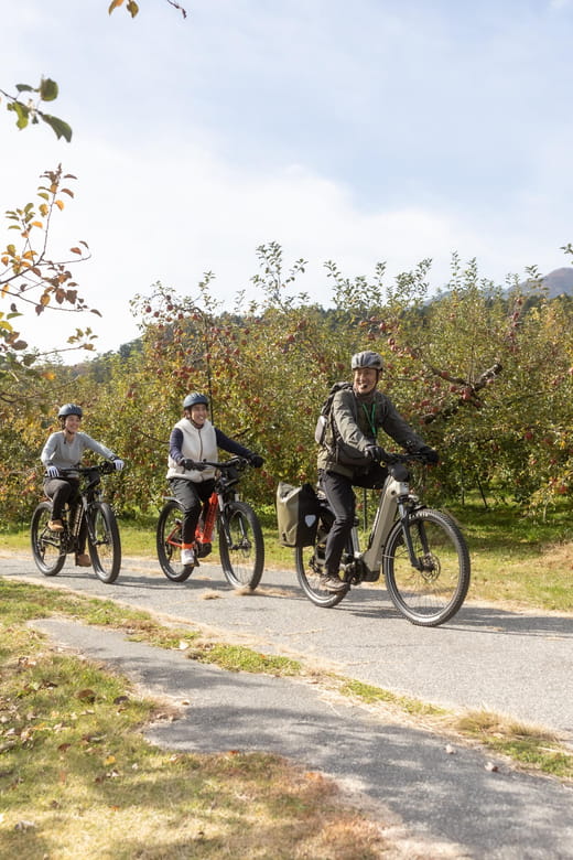 Orchard Cycling Tour Review: Experience the Alps - Key Points