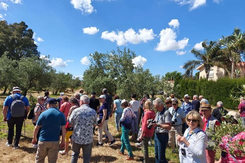 Organic EVOO tasting and guided visit to a family-run organic olive grove - Key Points / Takeaways