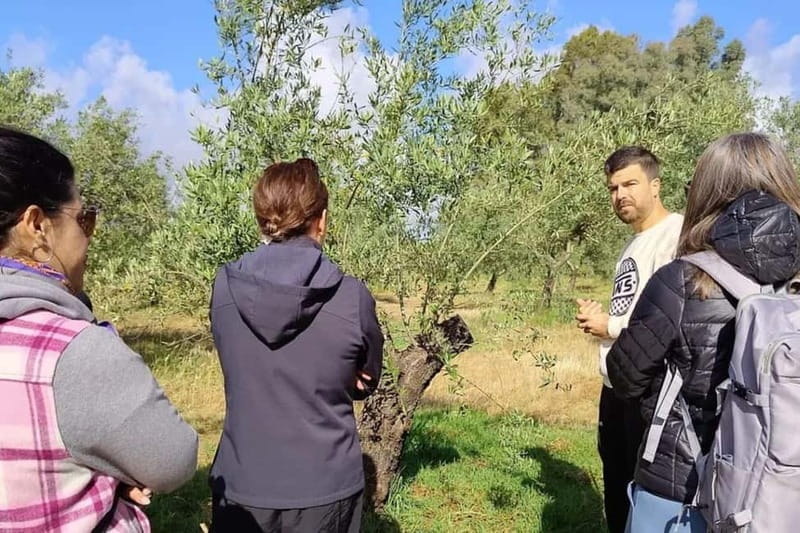 Organic EVOO tasting and guided visit to a family-run organic olive grove - Who Will Love This Experience?