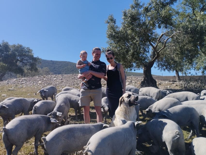 Organic Iberian Pig Farm Experience, Food&Ecofriendly - Personalized Farm Tour Options