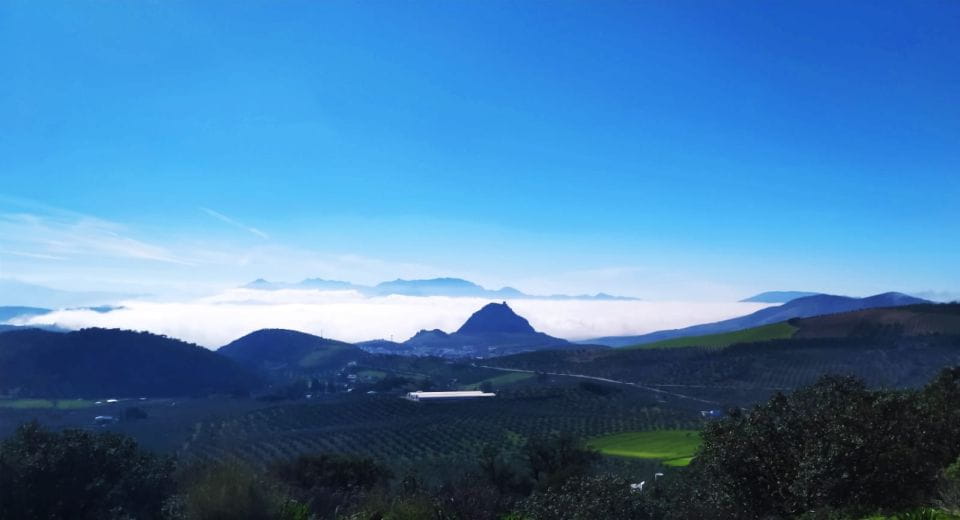 Organic Iberian Pig Farm Experience, Food&Ecofriendly - Positive Customer Feedback