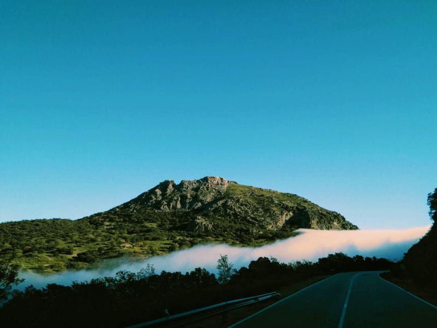 Organic Iberian Pig Farm Experience, Food&Ecofriendly - Suitable for Private Group Tours