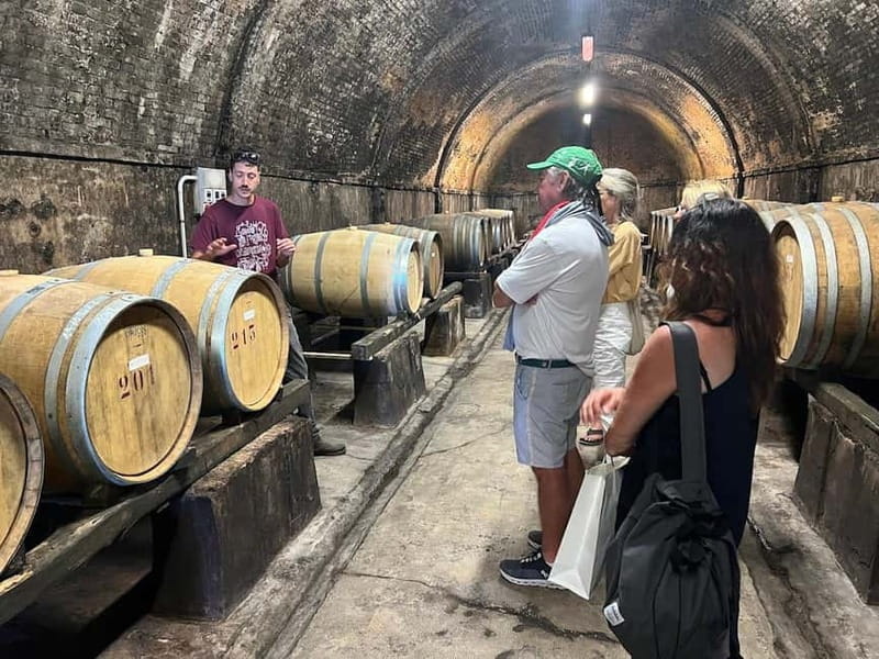 Organic Wine and Food Tasting at Historic Fattoria Majnoni - Organic Wine and Food Tasting at Historic Fattoria Majnoni: An Authentic Slice of Tuscany