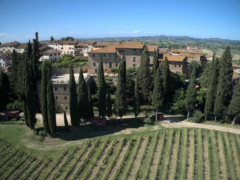 Organic Wine and Food Tasting at Historic Fattoria Majnoni - Key points / Takeaways
