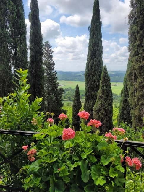 Organic Wine and Food Tasting at Historic Fattoria Majnoni - The Tasting & Brunch: Savoring Tuscan Flavors