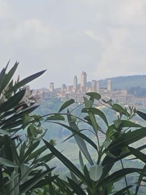 Organic Wine and Food Tasting at Historic Fattoria Majnoni - The Sum Up