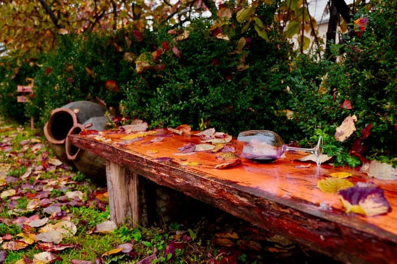 Organic Wine Full Day Private Tour With Tastings and Lunch - Key points / Takeaways