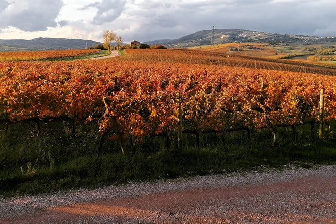 Organic Winery tour with Full Lunch from Assisi - Frequently Asked Questions