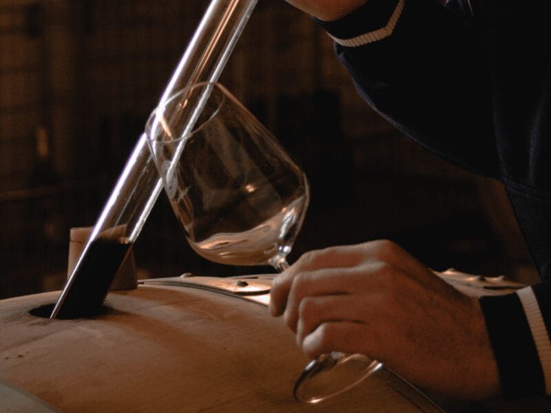 Organic Winery Visit & Wine Tasting with Food in Pavia - A Genuine Look at an Organic Winery Experience in Pavia