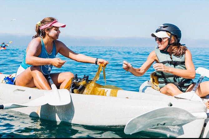 Original La Jolla Sea Cave Kayak Tour for Two - Inclusions