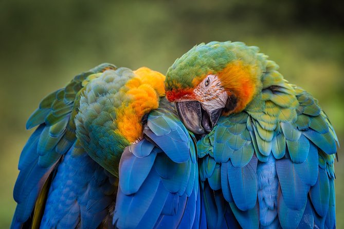 Original Tropical Rainforest and Beach Adventure - Recommended Attire and Gear