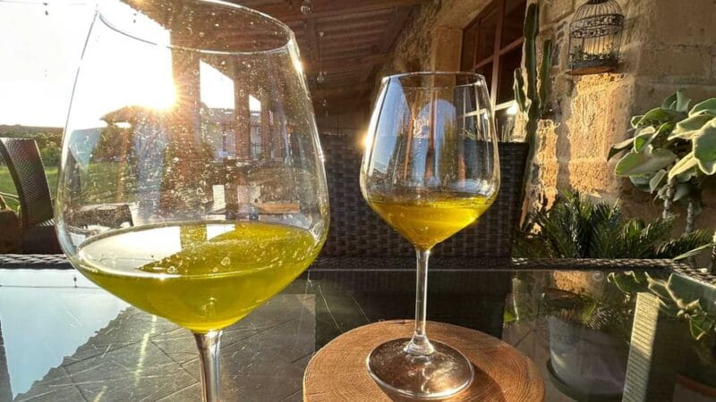 Oristano: visit a farm with oil tasting - Key points / Takeaways