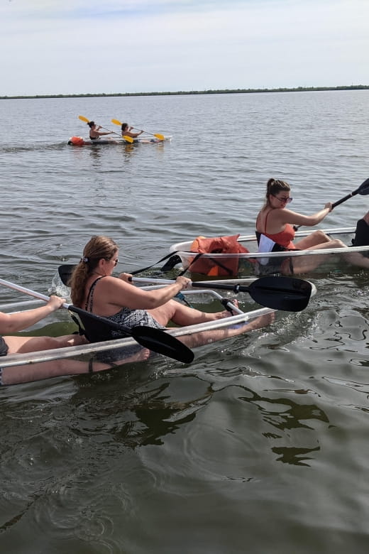 Orlando: Dolphin Clear Kayak or Paddle Board Adventure - What to Bring