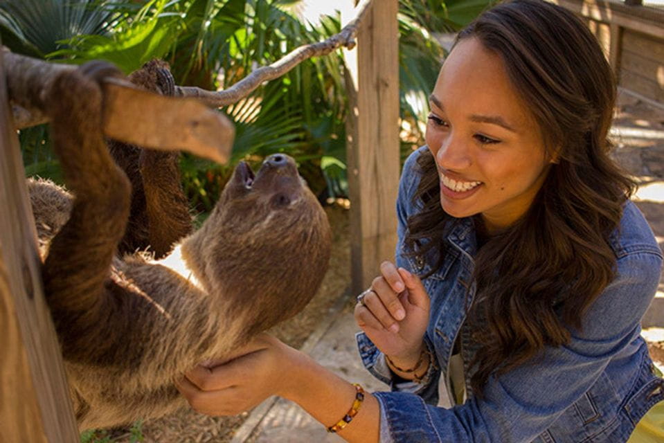 Orlando: Wild Florida Park, Gator Show & Animal Encounters - Why Visit Wild Florida Park?