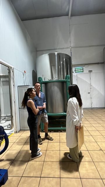 "Oro Bailén": Tour of Oro Bailen Grove + Mill + Tasting - Key points / Takeaways