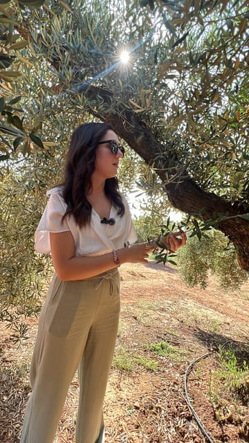 "Oro Bailén": Tour of Oro Bailen Grove + Mill + Tasting - Who Will Get the Most Out of This Tour?