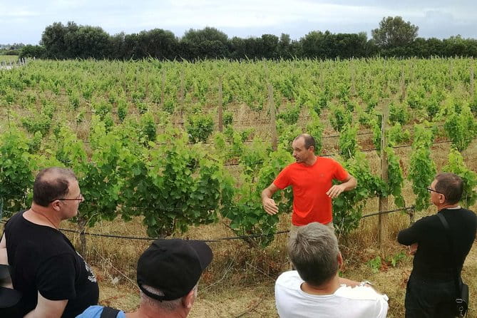 Orosei - 4x4 Tour & wine tasting - Who Should Consider This Tour