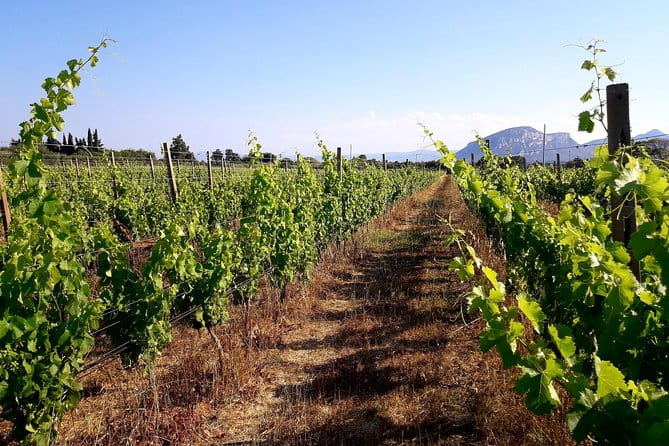 Orosei - 4x4 Tour & wine tasting - FAQ