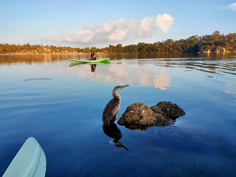 Orosei: Guided Kayak Tour of the Biderosa Oasis at Sunset - Key points / Takeaways