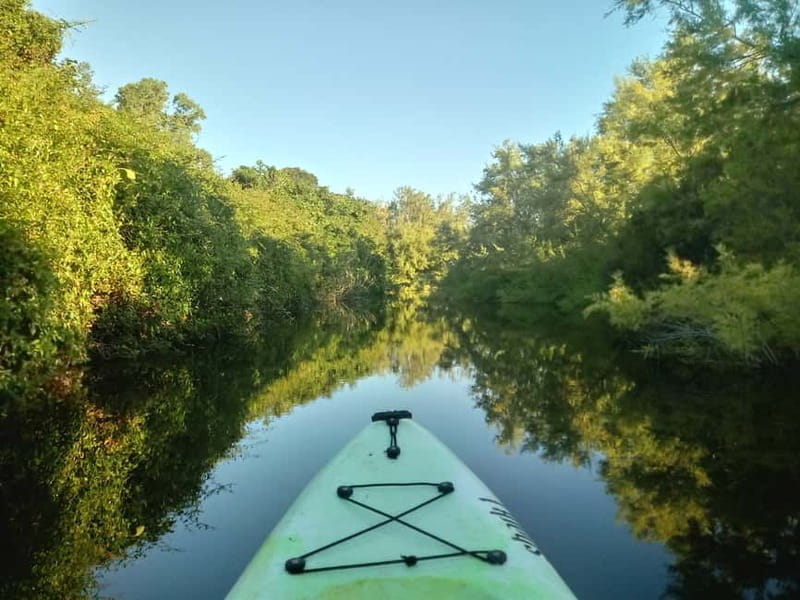 Orosei: Guided Kayak Tour of the Biderosa Oasis at Sunset - Who Would Love This Experience?