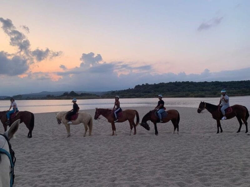 Orosei: horse riding on the beach - Key points / Takeaways