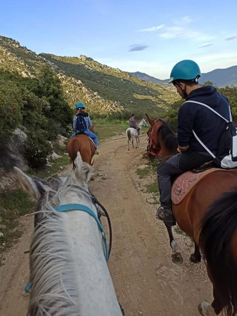 Orosei: horse riding on the beach - Exploring the Scenic Coastline of Orosei on Horseback