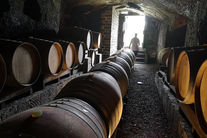 Orvieto by Evening: Small Group E-Bike Tour With Dinner - Participant Feedback