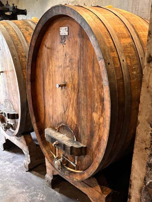 Orvieto: Guided 2-hour Winery Tour with Wine Tasting - Key points / Takeaways